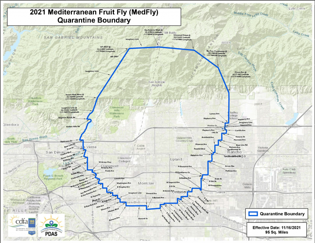 A overhead map outlining the Medfly quarantine city boundaries of Upland, Rancho Cucamonga, Montclair and Ontario