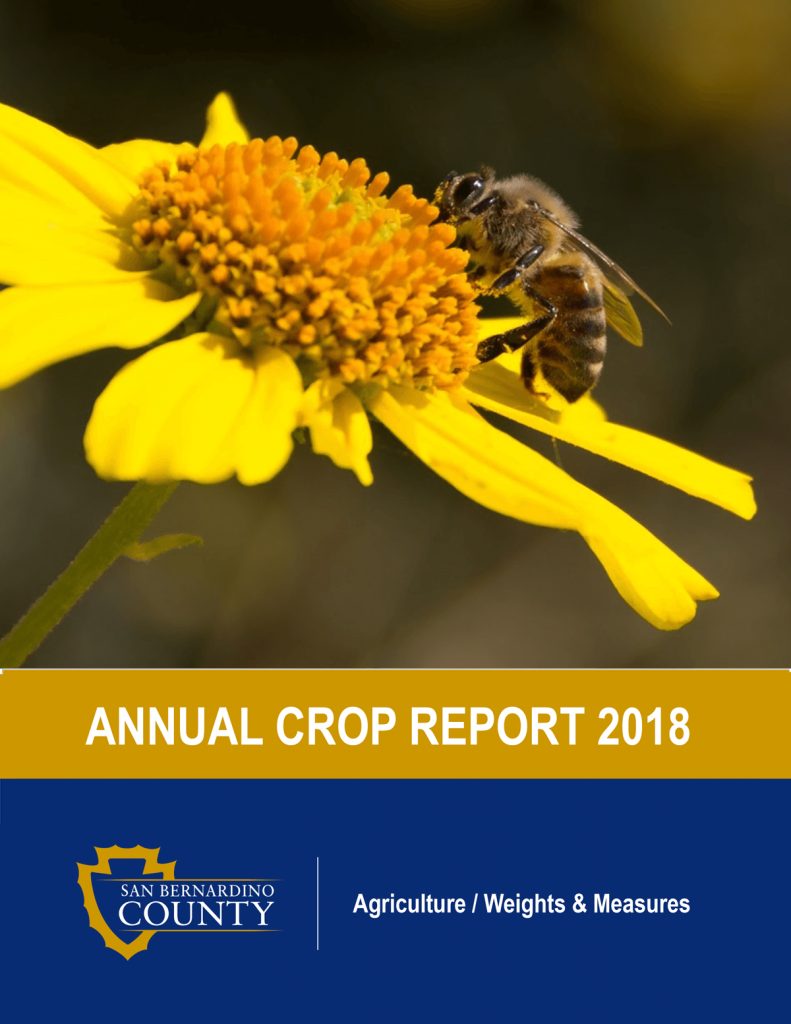 Crop Report cover photo with a yellow flower with a bee pollinating on it.