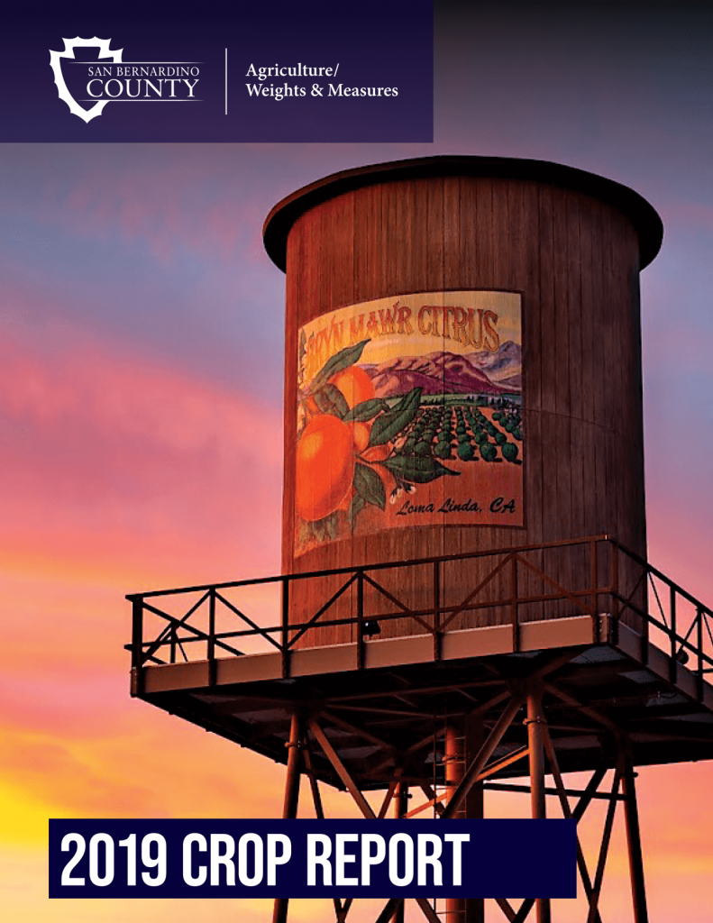 Crop report cover photo of a water tower with a citrus packing label on it with a sunset sky of colors behind it.