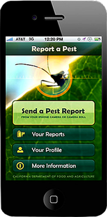 A mobile phone screenshot of the California Department of Food & Agriculture mobile application to report a pest.
