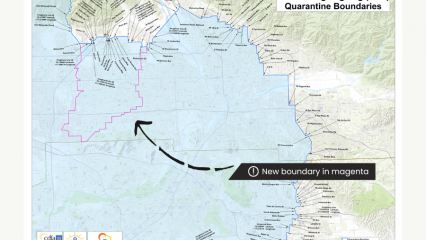 A satellite map of the Fontana, California and new ACP quarantine boundary highlighted in magenta. An arrow points to the magenta boundary line with a dark grey box with an information icon, round circle with "i" and the words new boundary in magenta.