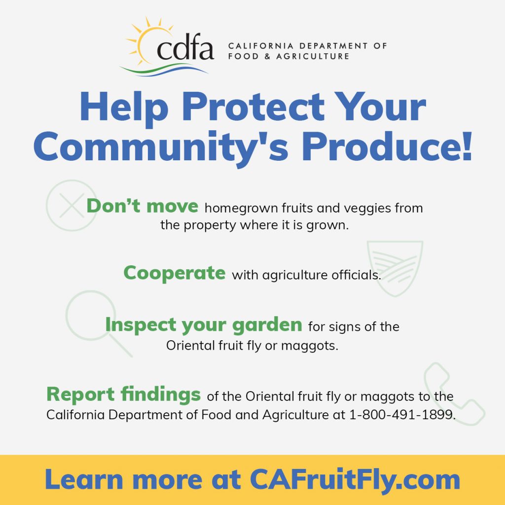 A graphic with the California Department of Food & Agriculture logo and the words Help Protect Your Produce! and a list of ways to help.