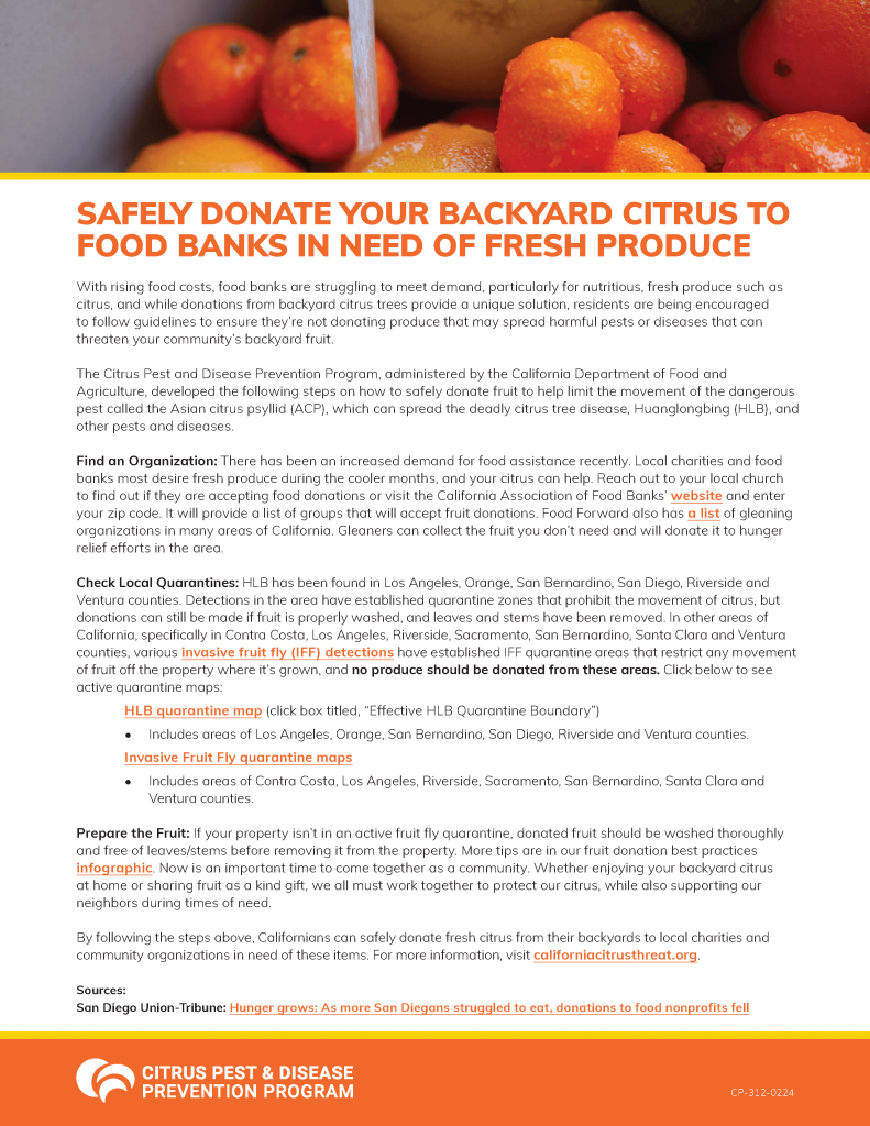 A flier with citrus at the top and large orange headline with content below it that lists guidelines for donating backyard fruit.